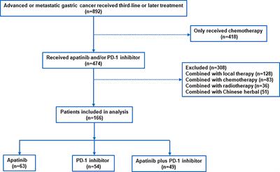 Apatinib combined with PD-1 antibody for third-line or later treatment of advanced gastric cancer